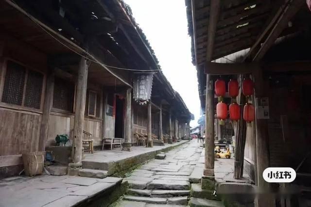 李娜：《青藏高原》原唱，从歌坛一姐到剃度出家，如今怎么样了？